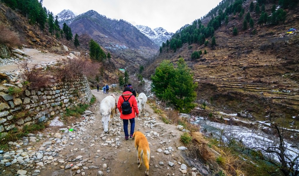 A,Group,Of,Trekkers,Walking,On,A,Stony,Path,Accompanied